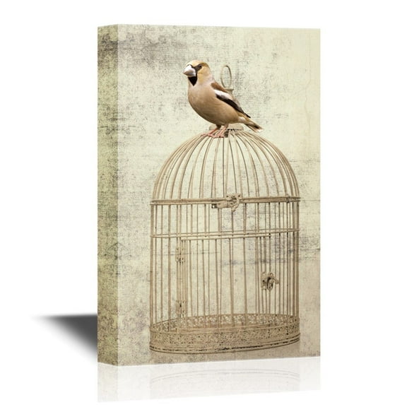 wall26 - Canvas Wall Art - Bird Sitting on Bird Cage on Vintage Background - Gallery Wrap Modern Home Art | Ready to Hang - 32x48 inches