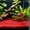 🎁 Multicolor_Hot#804, variant on Aquarium Grass Mat Substrate for Aquatic Plants – Artificial Dense Green Grass Decor, Soft Plastic Fish Tank Flooring for Safe, Realistic Underwater Landscaping