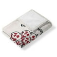 thumbnail image 4 of Disney Snow White The Apple Kids Silk Touch Throw Blanket, 4 of 6