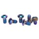 thumbnail image 2 of Tornillos de disco de freno de bicicleta de montaña de acero de titanio M5x10 mm de colores, pernos de cabeza universales T25 para bicicletas, 2 of 8