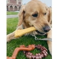 thumbnail image 3 of Nylabone Power Chew Customer Favorites Dog Chew Toy Bundle Flavor Medley, Peanut Butter, & Beef Large/Giant - Up to 50 lbs. (3 Count), 3 of 8