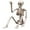 B, variant on Clearance Under $9.98! 1 Pack Poseable Skeleton Prop, 33.5-Inch, for Haunted House Decor