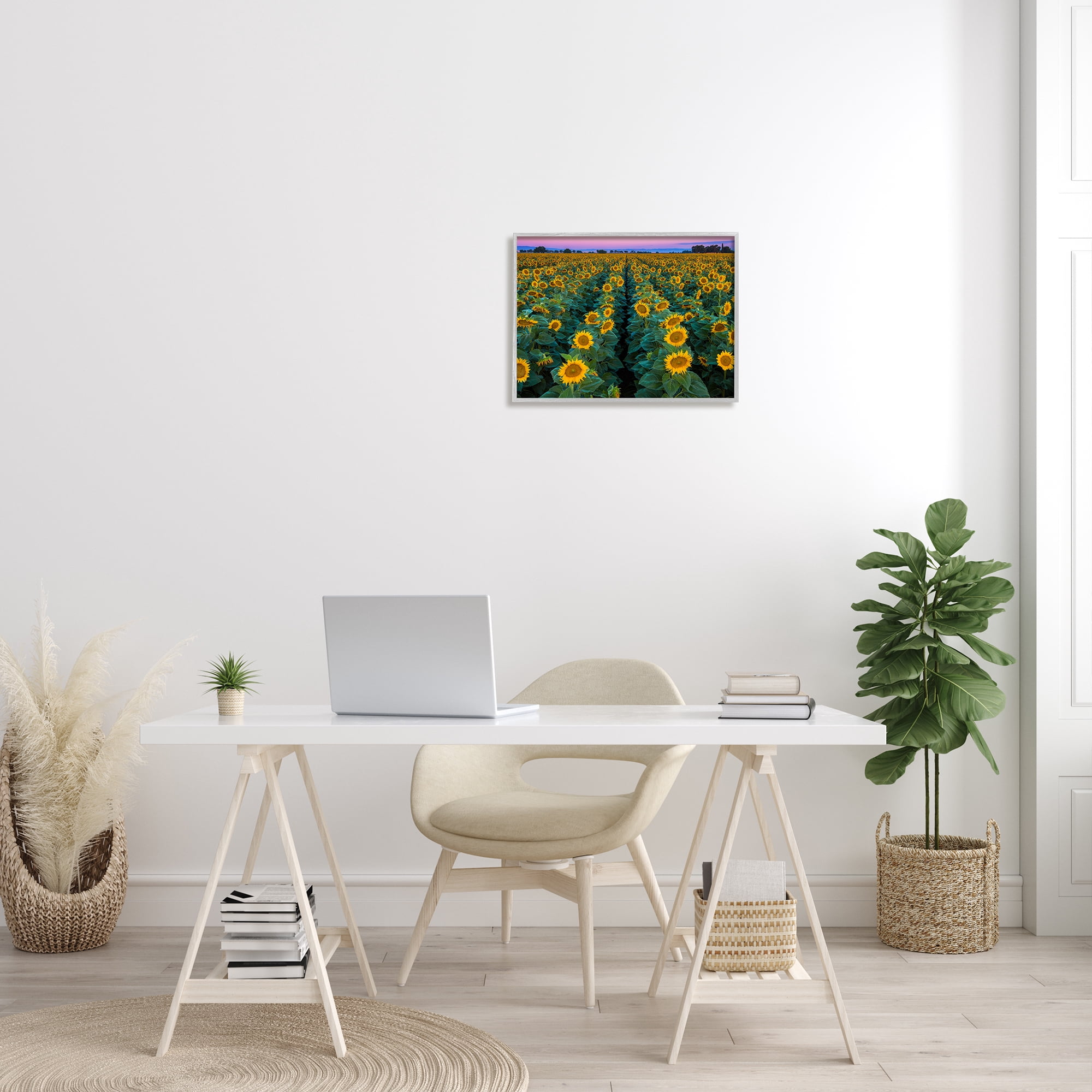 Stupell Industries Sunflower Field Rows at Sunset Farm Photography Botanical & Floral Painting Gray Framed Art Print Wall Art, 16 x 20