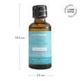 thumbnail image 2 of Fragancia Home Trends Connection 50 ml, 2 of 4