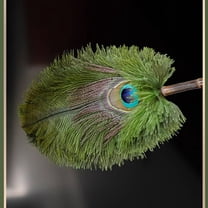 Peacock Feather Duster, 17.72 inch Green Peacock Feather Duster with Wood Handle, Reusable Car Dusters, Eco-Friendly Handheld Cleaning Dusters for Home, Office and Kitchen