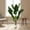 D, variant on Senfot 120cm Single PEVA Artificial Monstera Deliciosa Plant Large Split Leaf Fake Greenery Floor Plant Tropical Style Home Office Indoor Ornament