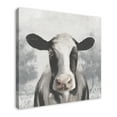 thumbnail image 2 of Creative Products Sophisticated Cow 36 x 36 Canvas Wall Art, 2 of 5