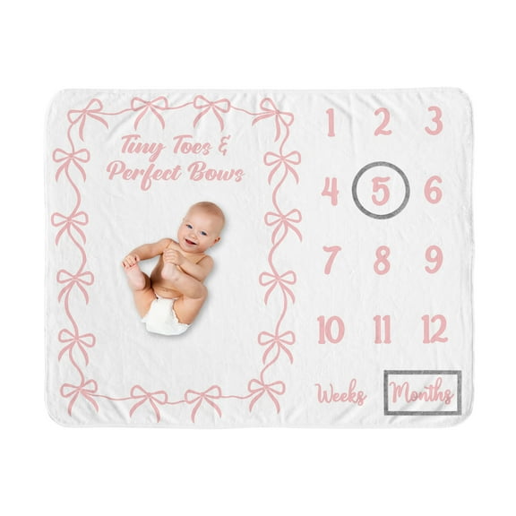 Sweet Jojo Designs Ballerina and Ballet Bows Girl Fleece Milestone Baby Blanket Set 3 Piece