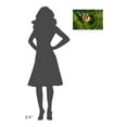 thumbnail image 3 of Global Gallery Barathieu Gabriel,'Yellow Clownfish On Green Anemon' Stretched Canvas Artwork, 3 of 3