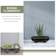 thumbnail image 3 of 4pcs Bonsai Flowerpot Hogar óvalo Bonsai Pot de plástico Flower Gardening contenedor de bonsai, 3 of 5
