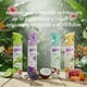 thumbnail image 2 of 2 Paquetes de Papel Higiénico Kleenex Cottonelle Professional 300 hs+ 2 Aromatizantes Wiese Aleatorios, 2 of 9