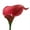 Apple Red, variant on 10pc set Real Touch calla lily-Feels just like real (Spa(Aqua))
