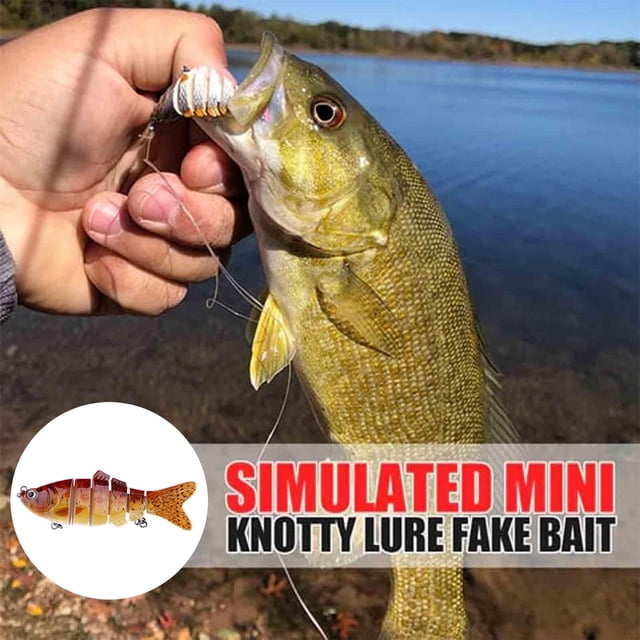 BKER 3D Simulation Fish Hook Realistic Fish Shape Fishing Supplies For Lake River For Fishing Enthusiasts Beginners