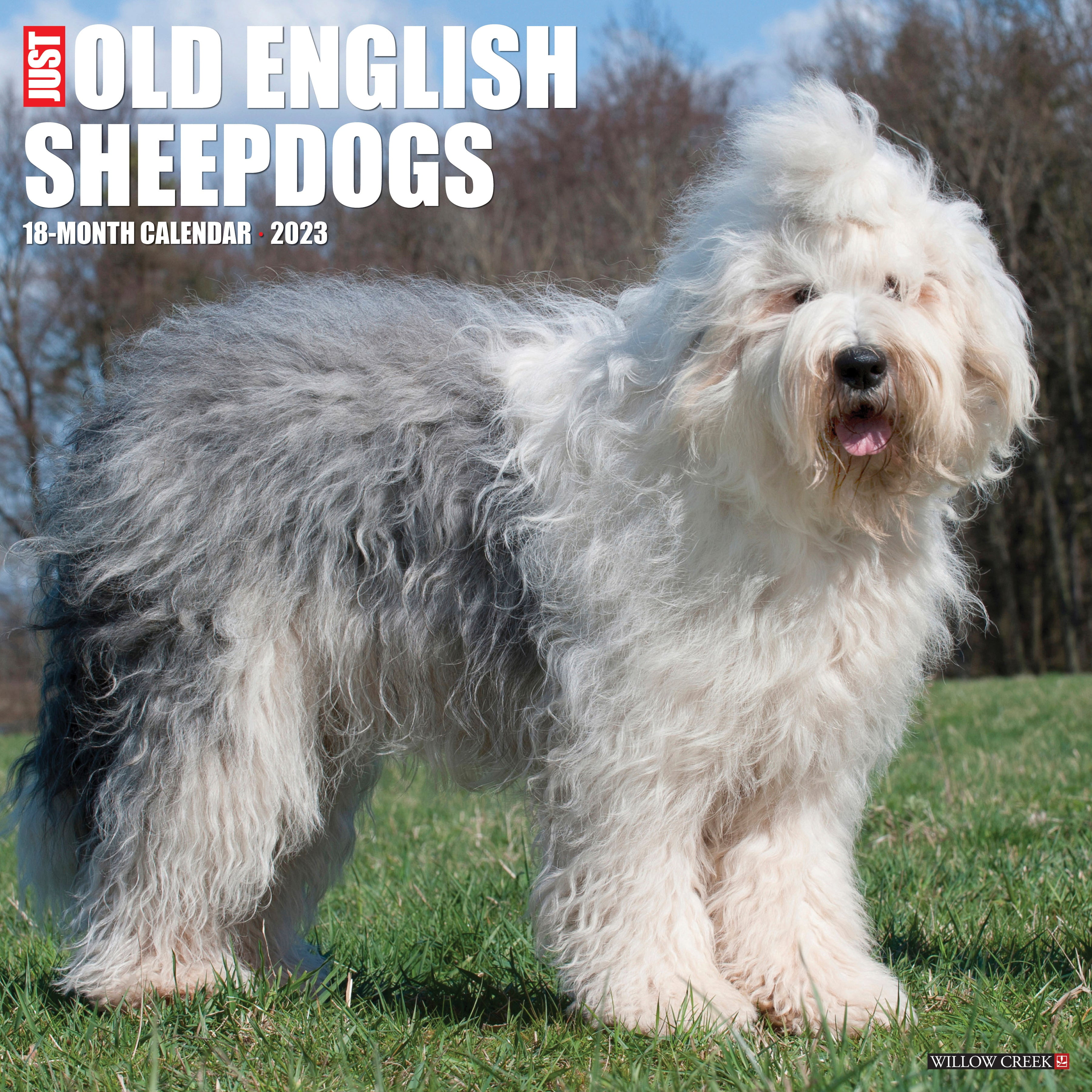 Just Old English Sheepdogs 2023 Wall Calendar