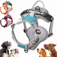 thumbnail image 1 of Pecheras Para Perro Pechera Arnés De Regulable Transpirable, 1 of 4