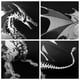 thumbnail image 5 of Maqueta metálica 3D de un dragón mecánico que respira fuego, 5 of 7