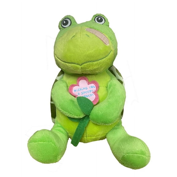 Speedy Recovery Turtles