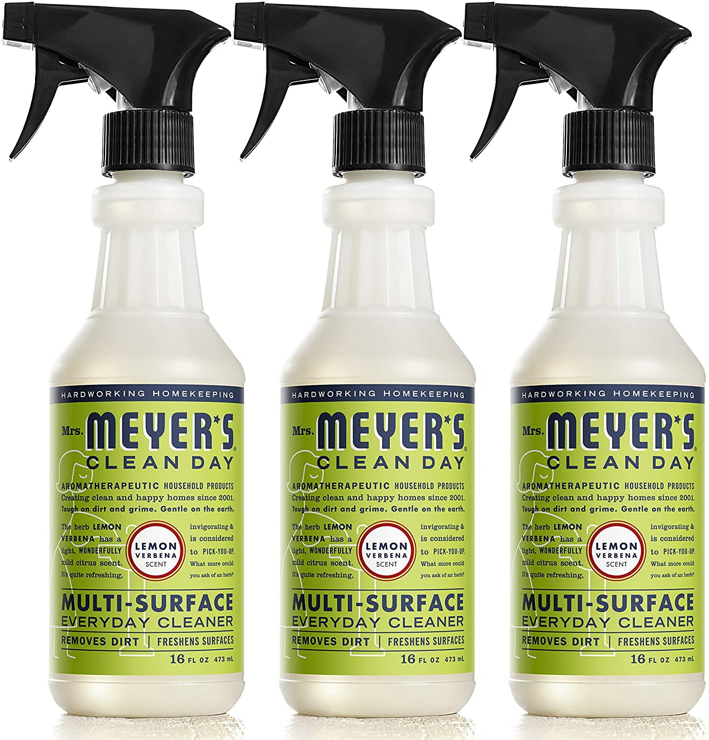 ms clean it all ms clean it all