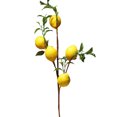 thumbnail image 3 of Artificial Lemon Fruit Props Imitation Plants Home Decor Party Wedding 50cm Realistic Vine, 3 of 5