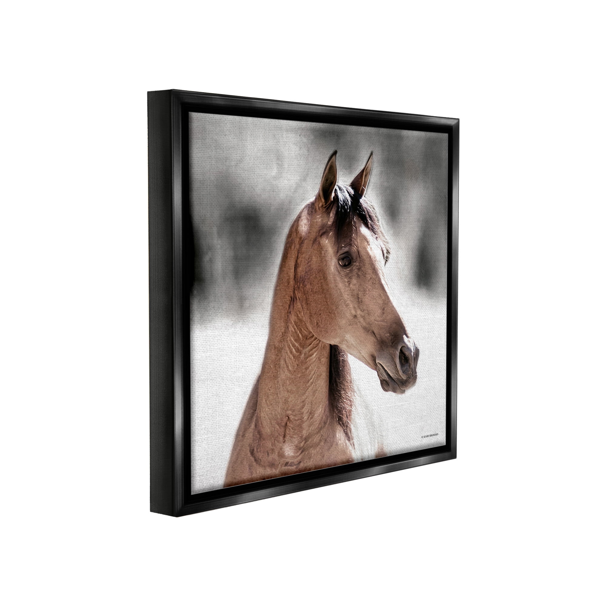 Stupell Industries Brown Foal in Snow Animals & Insects Photography Black Floater Framed Canvas Art Print Wall Art, 25 x 25