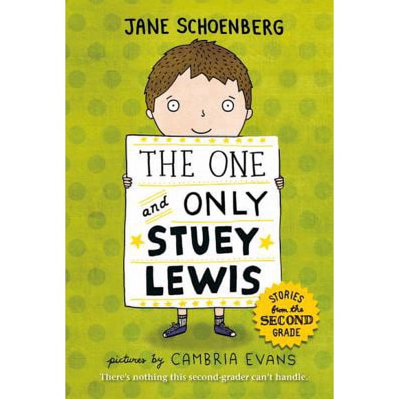 Pre-Owned The One and Only Stuey Lewis: Stories from the Second Grade (Paperback) 1250022169 9781250022165