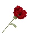 thumbnail image 1 of Bgsha Carnation Crochet Flower Single Bunch Knitted Flower Mother's Day Present, 1 of 9