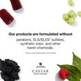 thumbnail image 2 of Caviar Anti-Aging Replenishing Moisture Priming Leave-In Conditioner by Alterna for Unisex - 5 oz Conditioner, 2 of 7