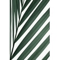 thumbnail image 2 of 1x Studio III 23x32 White Modern Wood Framed Museum Art Print Titled - Graphic palm leaf_3, 2 of 4