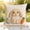 49#A, variant on Easter Pillowcase Printed, Cute Rabbit Egg Chick Cushion Cover 18x18, Soft Breathable Fabric Pillow Case for Sofa Bed, Hidden Zipper Home Decor, Spring Festival Gift for Family
