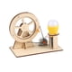 thumbnail image 4 of Bombilla de luz de madera Hugo Kits de experimentos de ciencia Rompecabezas de ciencia, 4 of 10