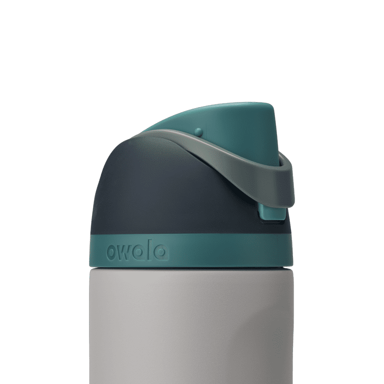 Owala FreeSip Stainless Steel Water Bottle, 24oz, Gray Whale