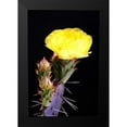 thumbnail image 2 of Taylor, Douglas 13x18 Black Modern Framed Museum Art Print Titled - Beginning the Month of Yellow, 2 of 5