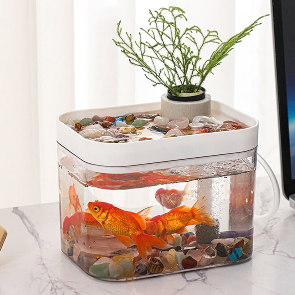Simple Clear Aquarium With Integrated USB Oxygen Pumps Systems Great For Home and Office Use Easy to Use Fish Bowl