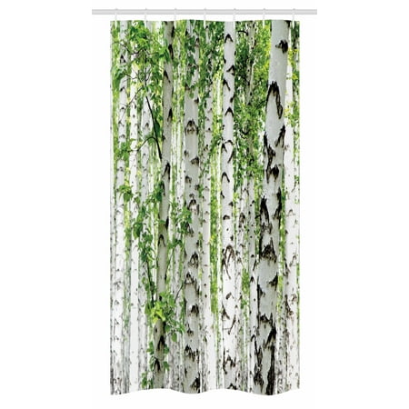 Woodland Stall Shower Curtain Birch Trees In The Forest