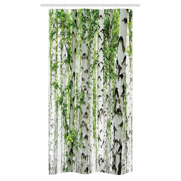 Woodland Stall Shower Curtain Birch Trees In The Forest Summertime Wildlife Nature Outdoors Themed Picture Fabric Bathroom Set With Hooks 36w X 72l Inches Long White Green By Ambesonne Com Woodland Stall Shower Curtain Birch, Outdoor Themed Shower Curtains