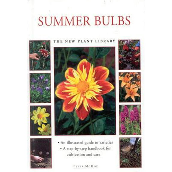 Summer Bulbs