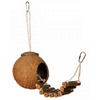 Royal Aquatic Prevue Hendryx Coco Hideaway with Bird Ladder