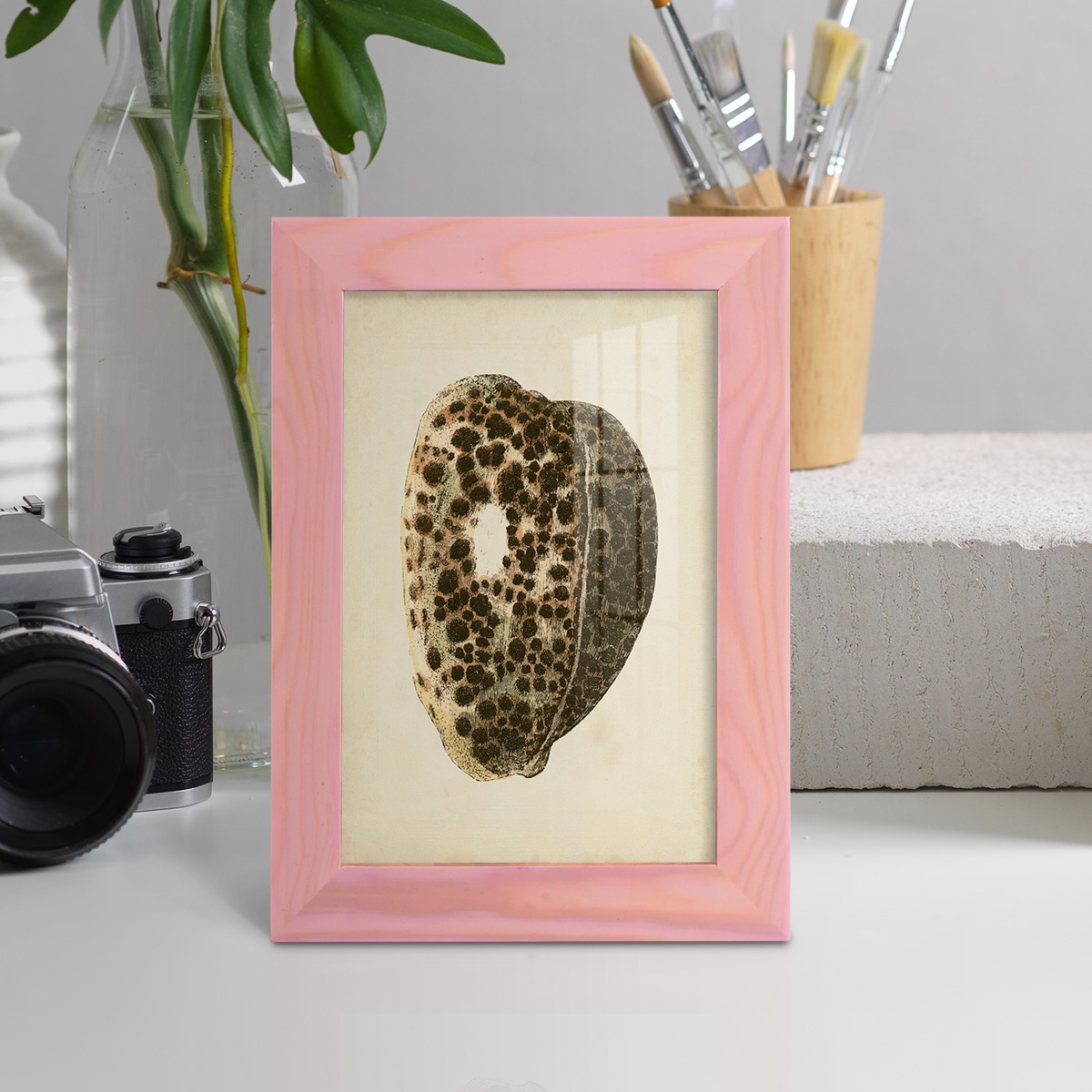 Sealife Collection III - Framed Print w/glass - Sunset Pink