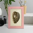 thumbnail image 5 of Sealife Collection III - Framed Print w/glass - Sunset Pink, 5 of 8