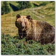 thumbnail image 1 of Picture-Tiles.com: Bear Ceramic Tile Wall Mural WAL500129-55S. 21.25"W x 21.25"H using (25) 4.25" x 4.25" Ceramic Tiles-Satin Finish, 1 of 3