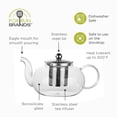 thumbnail image 5 of Fox Run Glass Teapot with Infuser, 4 Cup Clear Tea Pot with Smooth Pouring Spout, 4.3" x 4.1", 5 of 10