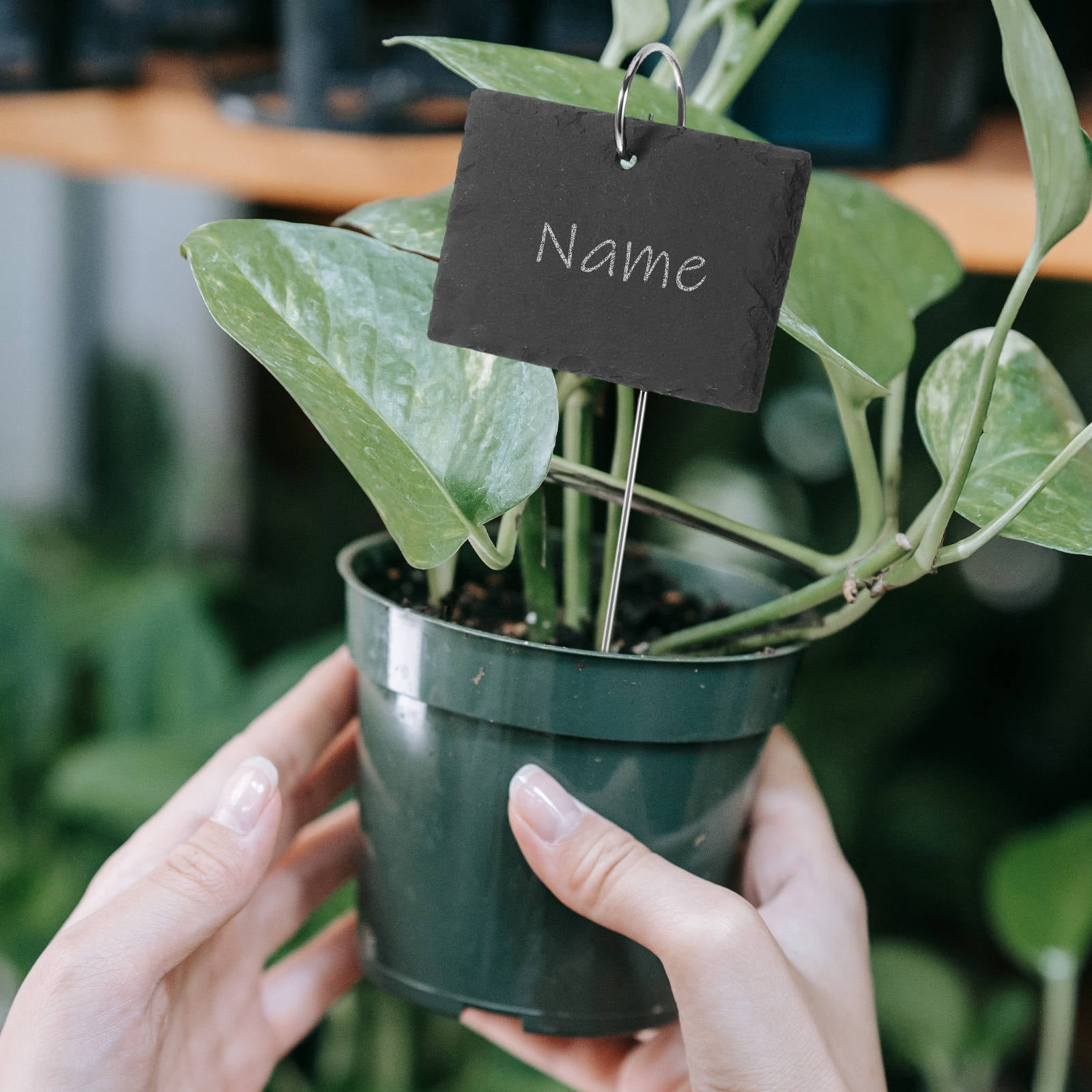 LEORX 5Pcs Pot Name Tag Stainless Steel Gardening Signs for Garden Decoration Indoor Flower Bed