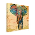 thumbnail image 2 of Evelia Designs 'Animal Utopia III' Canvas Art, 2 of 3