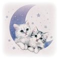 thumbnail image 1 of Cuadros Decorativos DIY diamante pintura bordado gatos lindos Luna taladro completo Cruz puntada Kits DQrwqpou Nuevos Originales, 1 of 8
