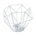 thumbnail image 2 of GROWTH TANK Day Light Metal Cage Easy Install Wrought Iron Ceiling Light Cover Bulb Cage, 2 of 9