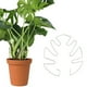 thumbnail image 2 of Poste de soporte de planta y soporte de fijación | Bamboo Clip Pot Planter Soporte para macetas | Estaca de jardín versátil para plantas en macetas y arbustos al aire libre | Estante de decoración |, 2 of 2