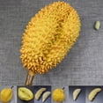 thumbnail image 3 of Bgsha Artificial Fruits Durian Model Simulation Food Early Educational Toy Photo Prop, 3 of 9