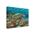thumbnail image 2 of Trademark Fine Art 'Deep Sea Swimming II' Canvas Art by Carolee Vitaletti, 2 of 4