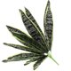 thumbnail image 4 of Planta de serpiente artificial en maceta, sansevieria, planta de plástico, adorno de bonsái, 4 of 8