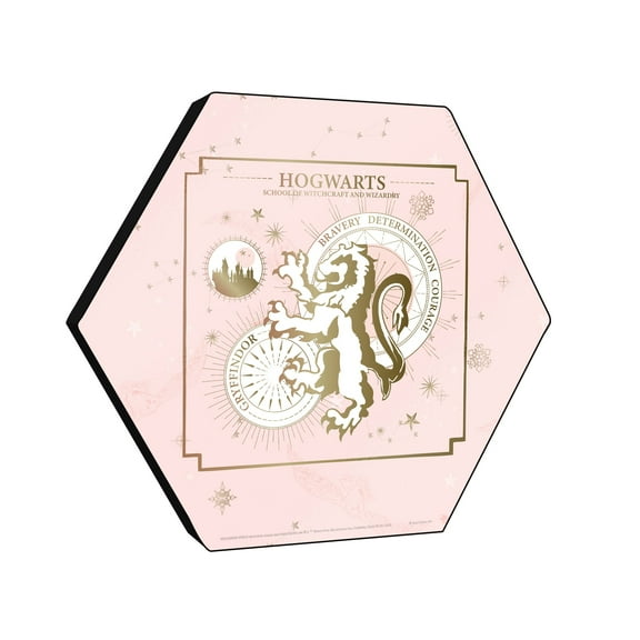 Harry Potter (Constellation - Gryffindor) KNEXAGON® Wood Print